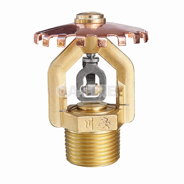 Maintenance Of Fire Sprinkler System