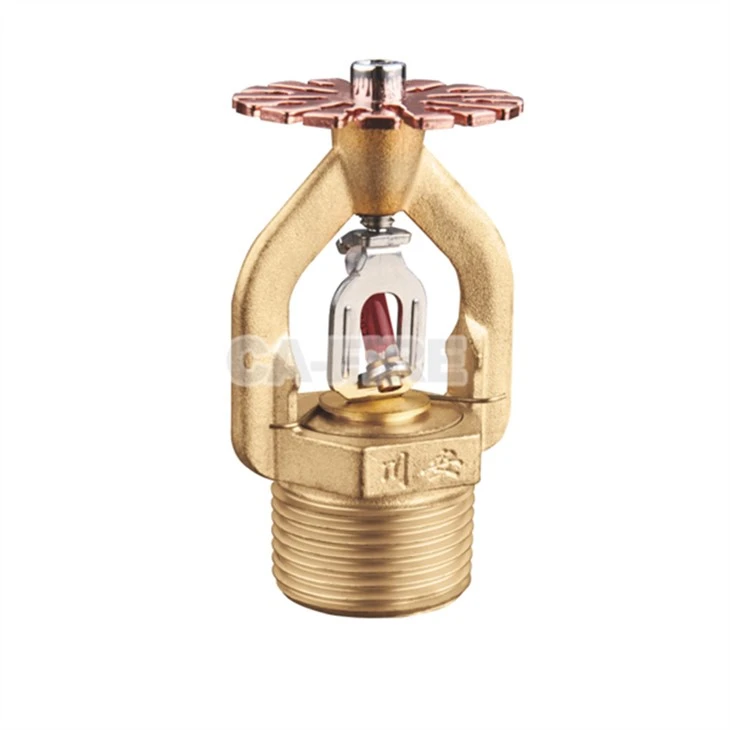 Maintenance Of Fire Sprinkler System