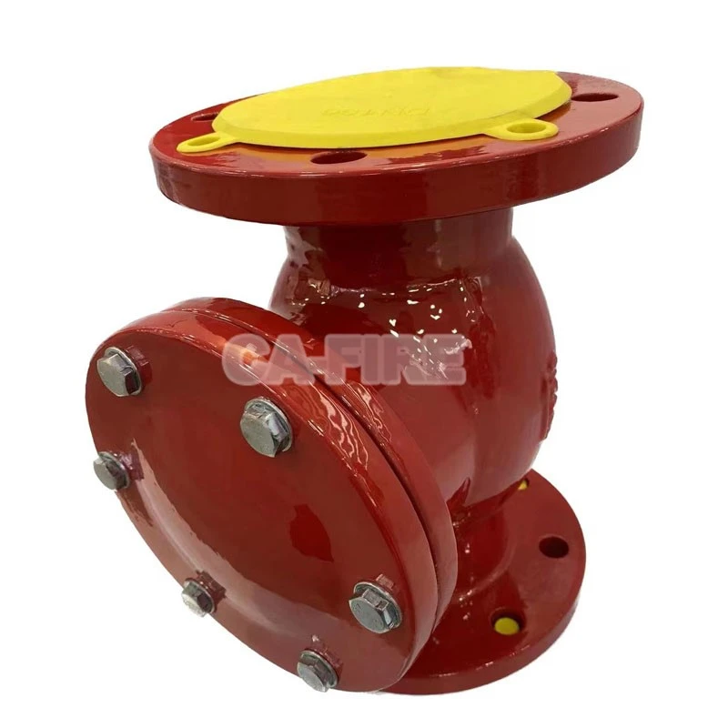 Swing check valve 5 Swing check valve 5