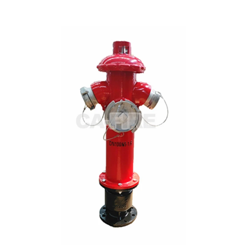product-800-800 product-800-800